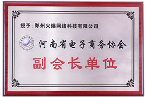 河南省电子商务协会副会长单位